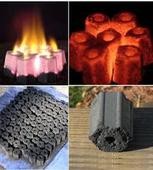 ʲô�����ն�ú���ն�ú��̼�O��